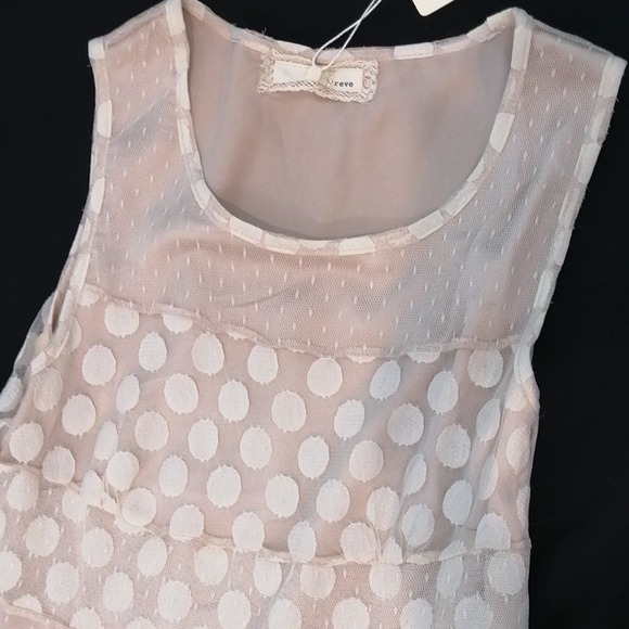 A'reve Polka Dot Lace Cream Dress as Mediu… - Picture 4 of 13